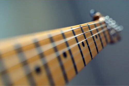 The Pursuit of The Mute